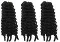 Burmese Curly